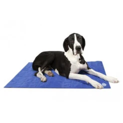 Scruffs Cooling Mat -Premium Dierenwinkel 043f7d3c8877045b1ba4263deea4843ce999dec4e4d2fcaabbc5cb4b9e13912c 3