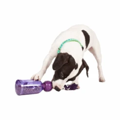 PetSafe Tug-a-Jug 11 PetSafe Tug-a-Jug -Premium Dierenwinkel 1MQpKWRKSyJNPCKfPtdB9vZtkH8zrq metacGV0c2FmZV90dWdfYV9qdWdfMjE2MzM1XzA1MDBfbm9uZS5wbmc