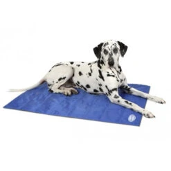 Scruffs Cooling Mat -Premium Dierenwinkel 2b36bdadeb409c4f4780489299c18d2c07e4914e5f147652d54f8fd4fa8ac4dd 4