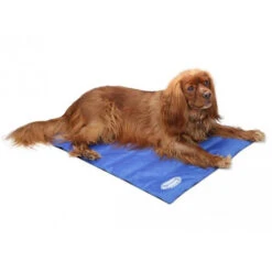Scruffs Cooling Mat -Premium Dierenwinkel 31778eda32f4fb3b47dfbcda3ff12197eadd0f3bf2e18272426fe76ea961f2e6 3