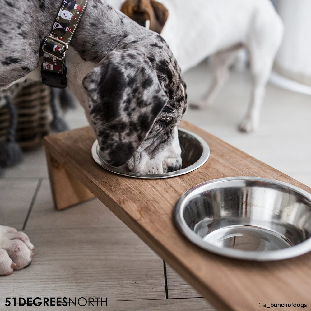 51 Degrees North Voerbak Teak High 10 51 Degrees North Voerbak Teak High - Afbeelding 10