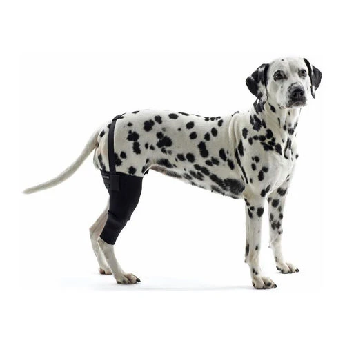 Kruuse Rehab Kniebeschermer 8 Kruuse Rehab Kniebeschermer - Afbeelding 8