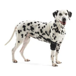 Kruuse Rehab Elleboogbeschermer -Premium Dierenwinkel 707a1307f57d4b5032cf99e3784b03141ed01b9c9317fa83ee1f29943ae9e06b 4