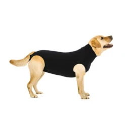 Suitical Recovery Suit Hond - Zwart -Premium Dierenwinkel 7c9e38e38becaf51a464c162f0f2b270c8651ab39aa58cbcc00ab3261af8fa97 3