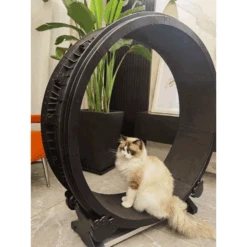 Petlux Looprad Voor Katten -Premium Dierenwinkel A9lNzzQjPd5SUPkSUwLk7nsZqDFeXm metaUGV0bHV4LUxvb3ByYWQtbWV0LnBuZw