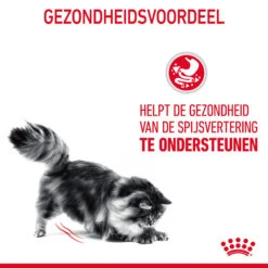 Royal Canin Digestive Care In Gravy - Kattenvoer -Premium Dierenwinkel ArELC5MRoxiyJSCYOslvuIRNg5AVhp metaUm95YWwtQ2FuaW4tRGlnZXN0aXZlLUNhcmVfMDEuanBn