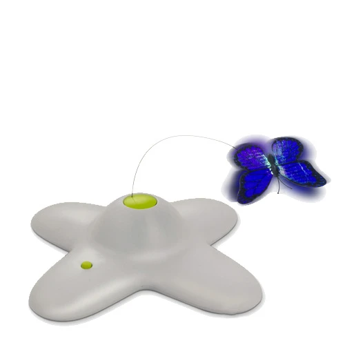 All For Paws AFP Interactive Flutter Bug 1 All For Paws AFP Interactive Flutter Bug