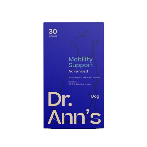 Dr. Ann's Mobility Support Advanced 1 Dr. Ann's Mobility Support Advanced