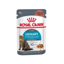Royal Canin Urinary Care In Gravy - Kattenvoer 15 Royal Canin Urinary Care In Gravy - Kattenvoer -Premium Dierenwinkel KhlHjLPvqw45tUlgFwopxNe6U3p257 metaUkMtQ2FyZS1VcmluYXJ5LUdyYXZ5LTQuanBn