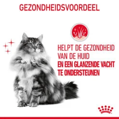 Royal Canin Hair & Skin In Gravy - Kattenvoer -Premium Dierenwinkel MnRGVtu8Y4Y8CuEu4Mdn5Rb9cOFGPr metaUm95YWwtQ2FuaW4tSGFpci0mLVNraW4taW4tR3JhdnlfMDQuanBn