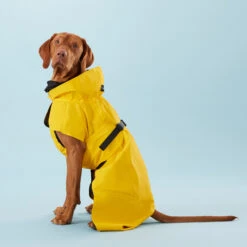 PAIKKA Visibility Raincoat Lite Yellow 9 PAIKKA Visibility Raincoat Lite Yellow -Premium Dierenwinkel PClMHEr7OU9sOGs5uS5yRaglBqAzmp metaUGFpa2thLVZpc2liaWxpdHktUmFpbmNvYXQtTGl0ZS1ZZWxsb3czLmpwZw