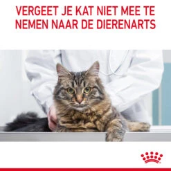 Royal Canin Digestive Care In Gravy - Kattenvoer -Premium Dierenwinkel TCTHbhcxJ1DLcyoBx0gQXZC3c7Q1nW metaUm95YWwtQ2FuaW4tVXJpbmFyeS1DYXJlLWluLUdyYXZ5XzA2LmpwZw