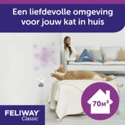 Feliway Classic 20 Feliway Classic -Premium Dierenwinkel Z1lNJxUCNrpV84OU9SrO8zeKJpgAba metaRmVsaXdheS1DbGFzc2ljLUNhcm91c2VsLTIuanBn