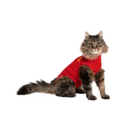 Medical Pet Shirt Kat -Premium Dierenwinkel a7d59ef3b62a90fe31add2f43263632fe725d3e640755fcdcc4b6cc0a33acf33 3
