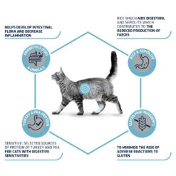Affinity Advance Veterinary Diets Gastroenteric Sensitive Kat -Premium Dierenwinkel affinity advance veterinary diets gastroenteric sensitive kat 178045 1500 none