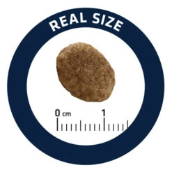 Affinity Advance Veterinary Diets Urinary Kat -Premium Dierenwinkel affinity advance veterinary diets urinary kat 176911 0500 none