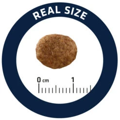 Affinity Advance Veterinary Diets Urinary Stress Kat -Premium Dierenwinkel affinity advance veterinary diets urinary stress kat 176821 0500 none