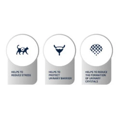 Affinity Advance Veterinary Diets Urinary Stress Kat -Premium Dierenwinkel affinity advance veterinary diets urinary stress kat 176839 1500 none