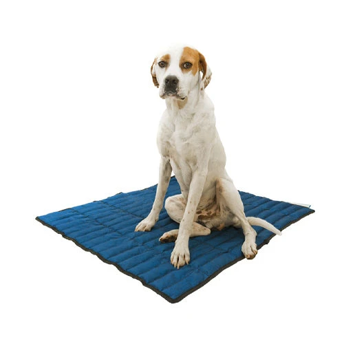 Aqua Coolkeeper Koelmat 2 Aqua Coolkeeper Koelmat - Afbeelding 2