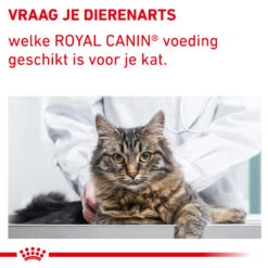 Royal Canin VCN - Mature Consult Balance - Cat - Maaltijdzakje 9 Royal Canin VCN - Mature Consult Balance - Cat - Maaltijdzakje -Premium Dierenwinkel auqYuMrpG2AEQj9IgtKtDMGtV3YXT4 metaTUFUVVJFLUNPTlNVTFQtQkFMQU5DRS04LmpwZw