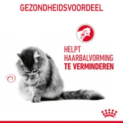 Royal Canin Hairball Care In Gravy - Kattenvoer -Premium Dierenwinkel b5BGZndEVRARBU6xTTXdGdZB9ZfBvZ metaUm95YWwtQ2FuaW4tSGFpcmJhbGwtQ2FyZS1pbi1HcmF2eV8wMi5qcGc