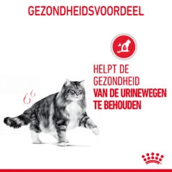 Royal Canin Urinary Care In Gravy - Kattenvoer 21 Royal Canin Urinary Care In Gravy - Kattenvoer -Premium Dierenwinkel bQ4DfuNB3UTwRZ1lnPBpZrXOtehvVK metaUm95YWwtQ2FuaW4tVXJpbmFyeS1DYXJlLWluLUdyYXZ5XzA0LmpwZw