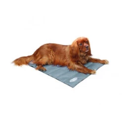 Scruffs Cooling Mat -Premium Dierenwinkel bceca7ec87761528fb71b6c6fe588e9227233066c67512090048d172804a696d 3