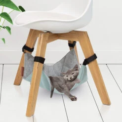 Beeztees Hangmat Loungy -Premium Dierenwinkel beeztees hangmat loungy 122060 2000 none