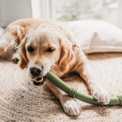 Beeztees Sumo Fit Stick 9 Beeztees Sumo Fit Stick -Premium Dierenwinkel beeztees sumo fit stick 178435 1000 none