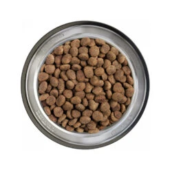 Belcando Finest Senior Graanvrij -Premium Dierenwinkel belcando finest senior graanvrij 217783 1000 none