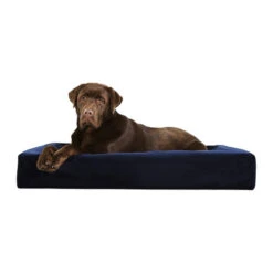 Bia Royal Fluwelen Hoes -Premium Dierenwinkel bia royal fluwelen hoes 102055 0500 none