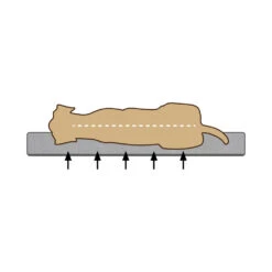 Beeztees Bench Kussen Ito -Premium Dierenwinkel dceuWwK8iG2ChIkyH137X4AsWeqcwX metaQmVlenRlZXMtTWVtb3J5LUZvYW0tVW1hLUhvbmRlbm1hbmQtb3J0aG9wZWRpc2NoLTIuanBn