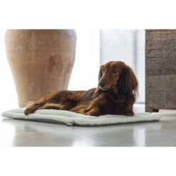 Designed By Lotte Benchkussen Gisel -Premium Dierenwinkel designed by lotte benchkussen gisel 221516 1000 none