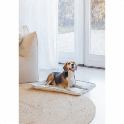 Designed By Lotte Benchkussen Gisel -Premium Dierenwinkel designed by lotte benchkussen gisel 221517 1500 none