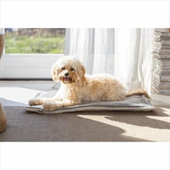 Designed By Lotte Benchkussen Gisel -Premium Dierenwinkel designed by lotte benchkussen gisel 221518 1500 none