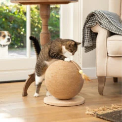 Designed By Lotte Krabbol Balty -Premium Dierenwinkel designed by lotte krabbol balty 164809 2000 none