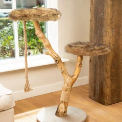 Designed By Lotte Krabmeubel Elora 5 Designed By Lotte Krabmeubel Elora -Premium Dierenwinkel designed by lotte krabmeubel elora 170014 2000 none