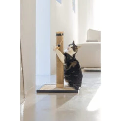 Designed By Lotte Krabpaal Vyda 8 Designed By Lotte Krabpaal Vyda -Premium Dierenwinkel designed by lotte krabpaal vyda 222826 1000 none