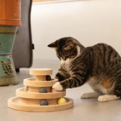 Designed By Lotte Speeltoren Mia -Premium Dierenwinkel designed by lotte speeltoren mia 193652 1000 none