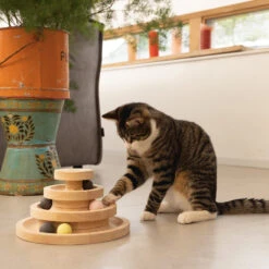 Designed By Lotte Speeltoren Mia -Premium Dierenwinkel designed by lotte speeltoren mia 193658 1000 none