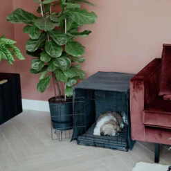 District 70 Crate Bench Hoes 34 District 70 Crate Bench Hoes -Premium Dierenwinkel district 70 crate cover 191152 0500 none