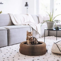 District 70 Maze -Premium Dierenwinkel district 70 maze 190927 0500 none