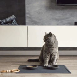 District 70 Serve Placemat 26 District 70 Serve Placemat -Premium Dierenwinkel district 70 serve placemat 209750 2000 none