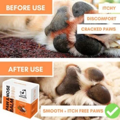 Dogslife Paw & Nose Balm 10 Dogslife Paw & Nose Balm -Premium Dierenwinkel dogslife paw nose balm 219825 0500 none