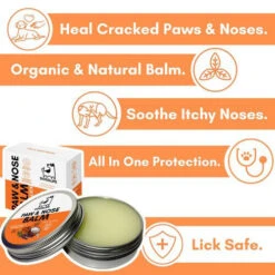 Dogslife Paw & Nose Balm 9 Dogslife Paw & Nose Balm -Premium Dierenwinkel dogslife paw nose balm 219827 0500 none