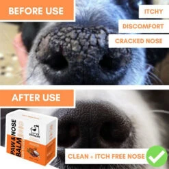 Dogslife Paw & Nose Balm 11 Dogslife Paw & Nose Balm -Premium Dierenwinkel dogslife paw nose balm 219828 0500 none