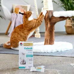 Doppelherz Gelenk Complex Voor Katten -Premium Dierenwinkel doppelherz gelenk complex fuer katzen 195053 1000 none