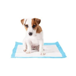 Duvo+ Puppy Pads -Premium Dierenwinkel duvo puppy pads 146015 1000 none