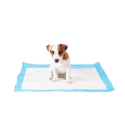 Duvo+ Puppy Pads -Premium Dierenwinkel duvo puppy pads large 50 stuks 108439 1000 none