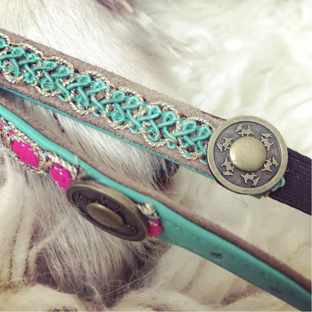 DWAM Kattenhalsband Tommy 4 DWAM Kattenhalsband Tommy - Afbeelding 4